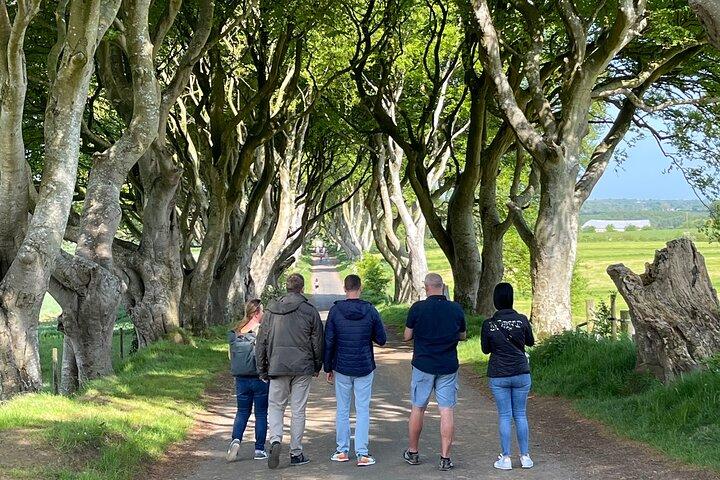 Luxe rondleiding door de Giants Causeway vanuit Belfast
