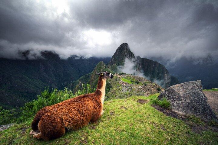 Von Cusco: Ganztägige Gruppentour nach Machu Picchu