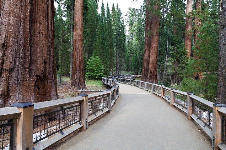 Yosemite National Park Self-Guided Audio Tour