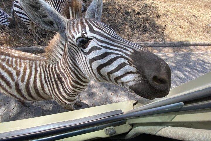 Safari de 3 días al lago Tarangire Manyara y al cráter Ngorongoro