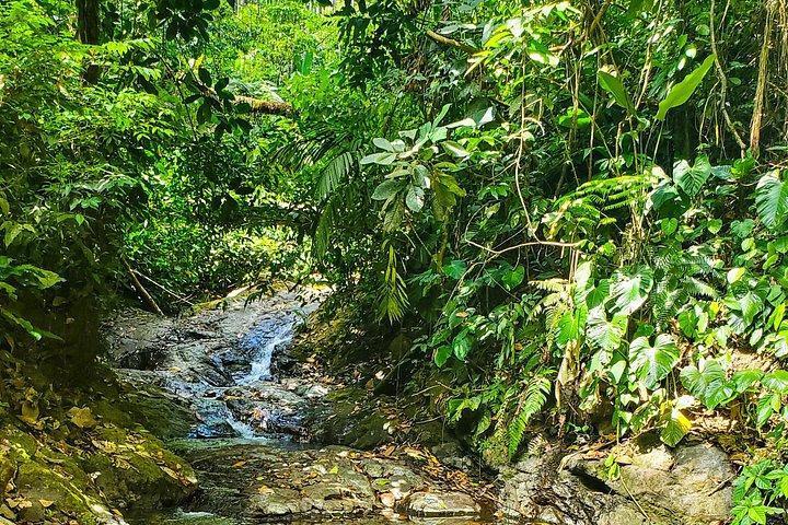 Photography and bird watching experience in Esquipulas