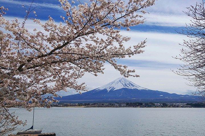 Mt. Fuji Hidden Gems: Secret Viewpoints & Instagram Spots Tour