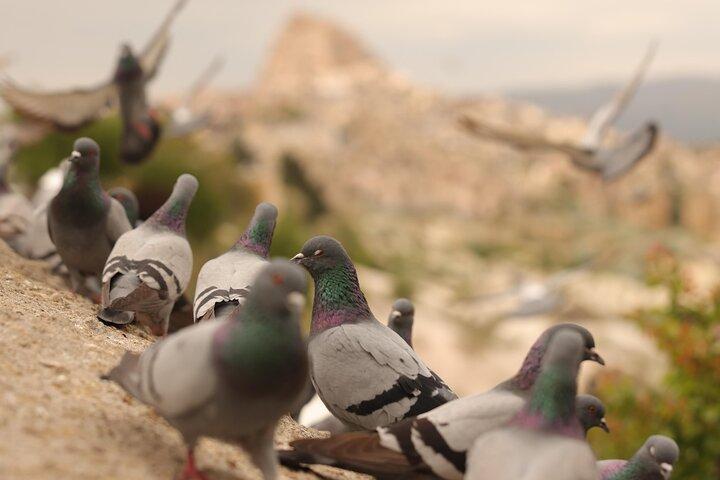 Cappadocia Private Guided Tour(Guida con licenza e auto)