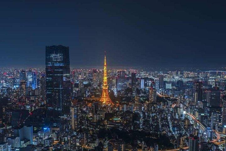 六本木ヒルズ東京シティビュー展望台入場券