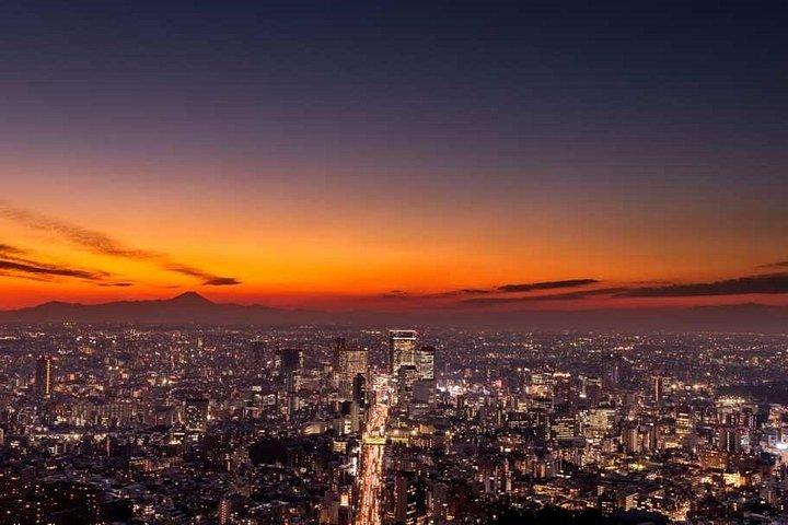 六本木ヒルズ東京シティビュー展望台入場券