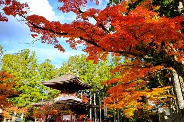 Excursión de 1 día en autobús desde Osaka a la estación de Mt Koya y Kishi