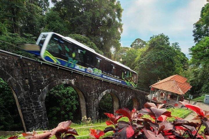 6 horas de exploração encantadora em Penang
