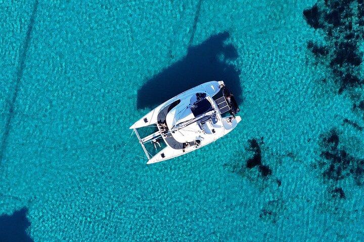 ミコノス島カタマラン船プライベート デイ クルーズ (食事と水遊び付き)