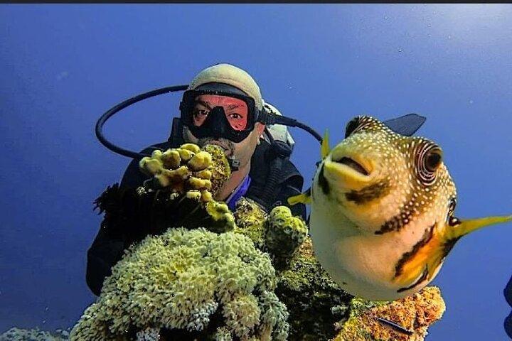 Dos inmersiones más una playa de buceo nocturno