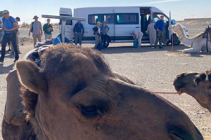 Agafay Desert Day Trip From Marrakech​