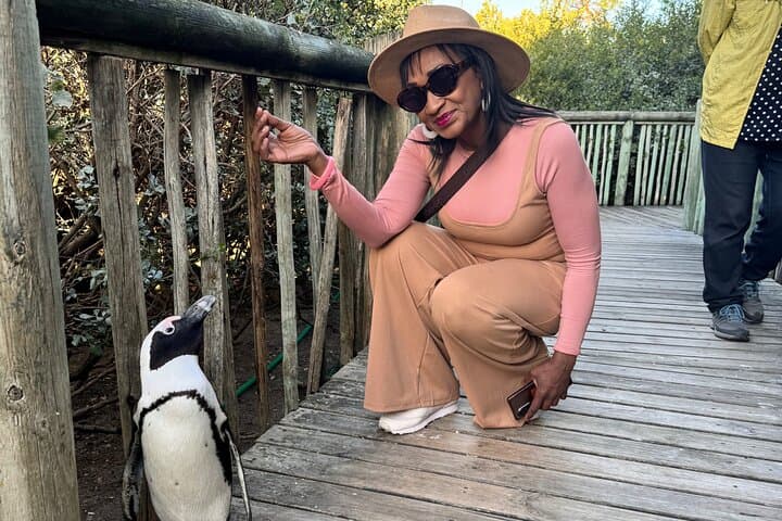 Table Mountain, Bo Kaap, Penguins &Muizenberg Beach Half Day Tour