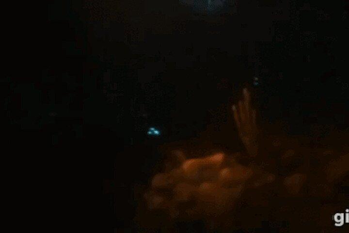 Bioluminescent Night Snorkeling