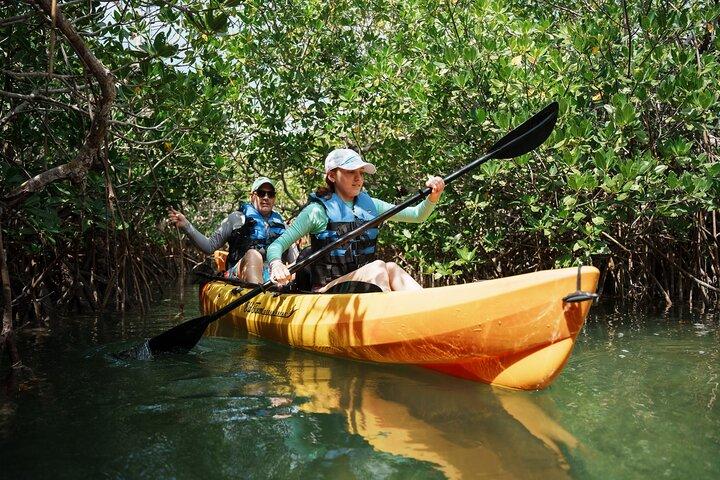 Key West Sandbar Charter con tour in kayak: include pranzo e bevande