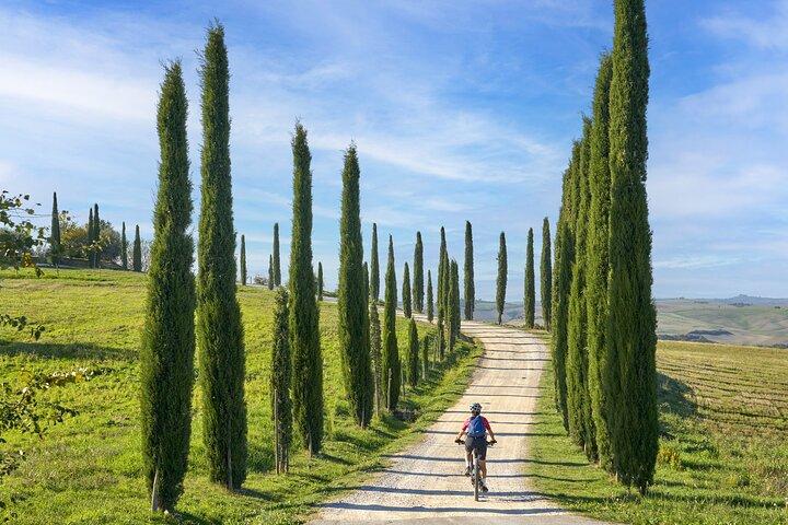 San Gimignano : Tour en eBike Virtual-Guided