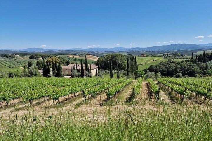 Privé wijntour in Toscane Florence Limo Service Engelse chauffeur