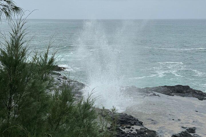 カウアイ島ショアエクスカーション - ワイメア キャニオン アドベンチャー ツアー - ナウィリウィリ