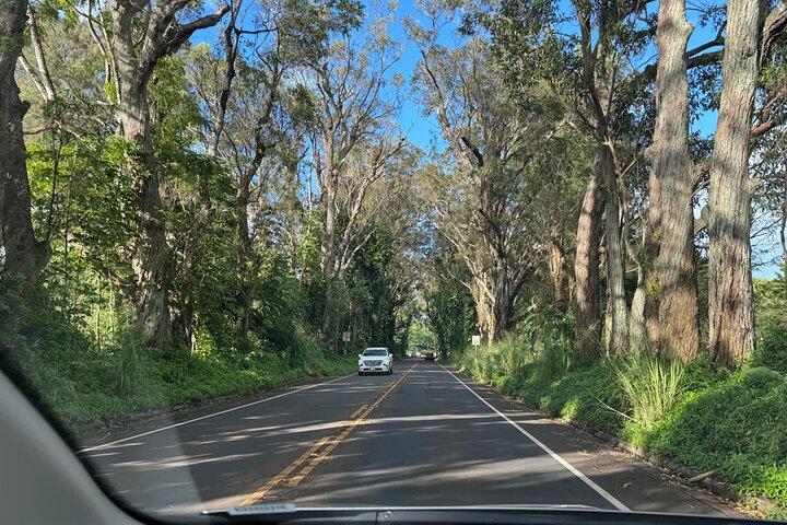 カウアイ島ショアエクスカーション - ワイメア キャニオン アドベンチャー ツアー - ナウィリウィリ
