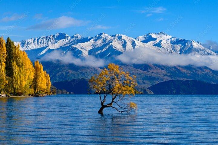 Queenstown til Franz Josef via Wanaka Small Group Day Tour (1-vejs)