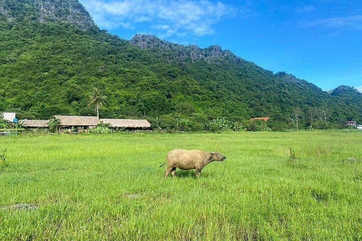 Hanoi: 2-tägige Erkundung des Cat Ba-Nationalparks, der Lan Ha-Bucht, Bootstour