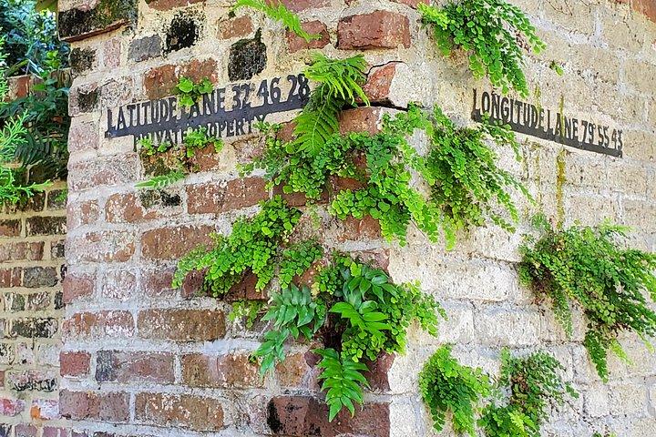Privéwandeling door het historische Charleston