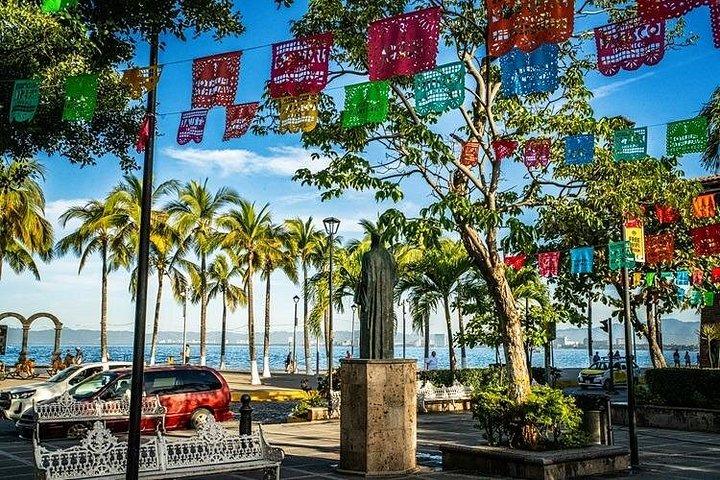 シグネチャー シティ ツアー: プエルト バジャルタでのプライベート体験
