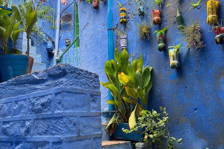 Wandeling naar blauwe stadserfgoedtour met Gids