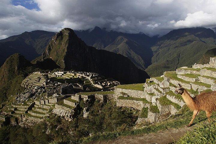Machu Picchu Heldag Allt ingår