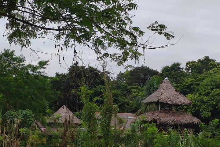 amazon adventure 4 days 3 nights