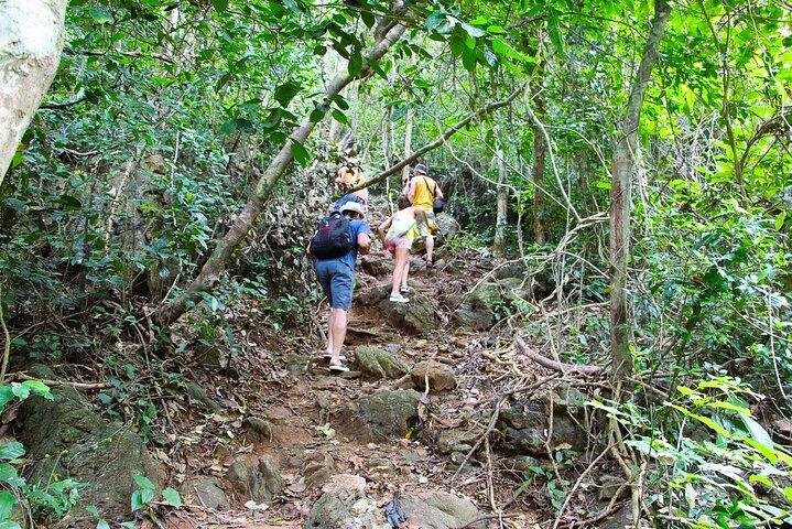 Wanderung zum Cat-Ba-Nationalpark, Dorf Viet Hai, Kajakfahren in der Lan-Ha-Bucht