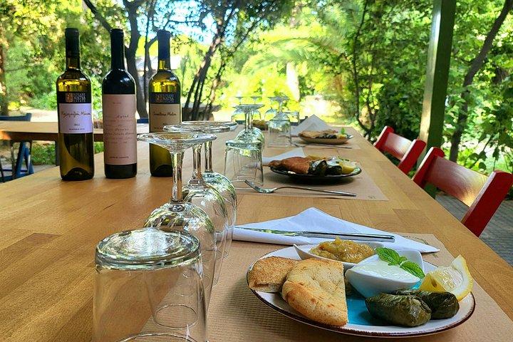 Athens Layover Vineyard Wine Tasting Private Tour