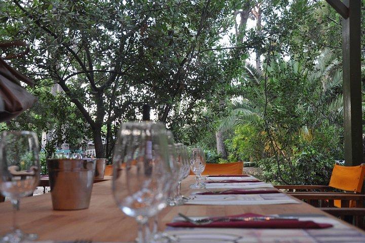 Athens Layover Vineyard Wine Tasting Private Tour