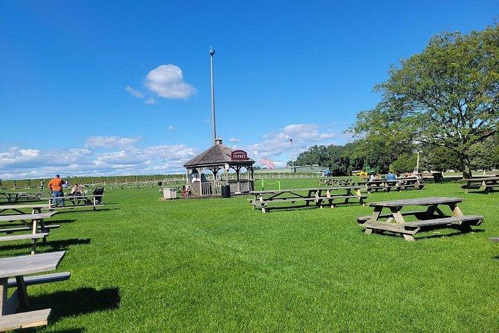 Long Island vingårdstur