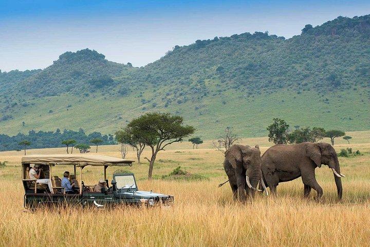 6 Days Private Tanzania Midrange Safari Adventure