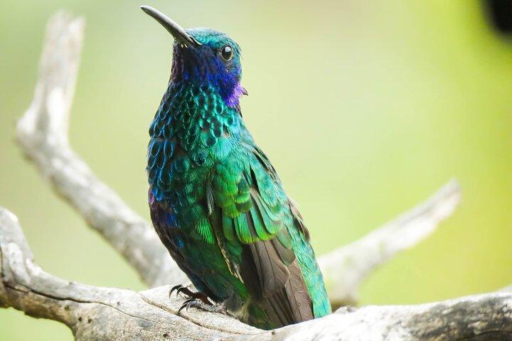 Itinerario per conoscere la natura, Salento