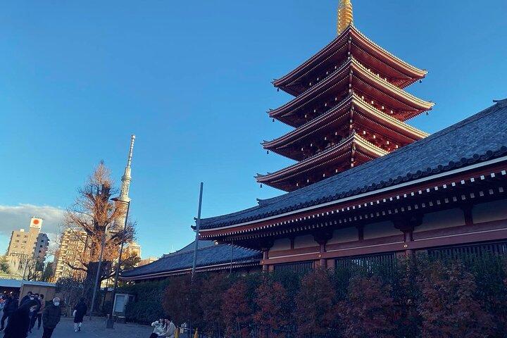 Tokyo Private One-Day Tour — Local Driver