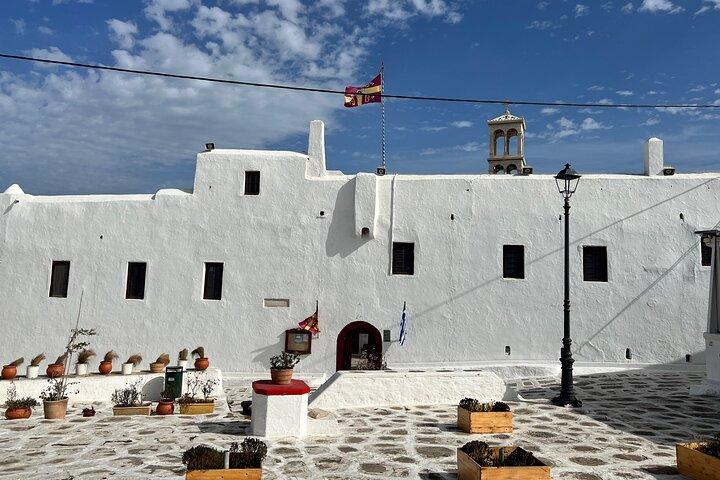 Tour privato a Mykonos Grecia