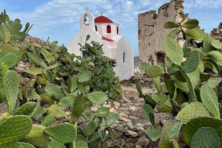 Tour privato a Mykonos Grecia