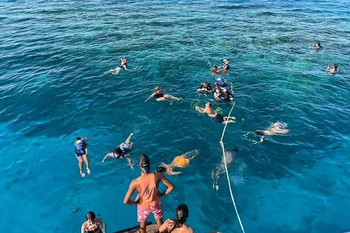 フルガダ発豪華ボートトリップ、オールインクルーシブ紅海アドベンチャー