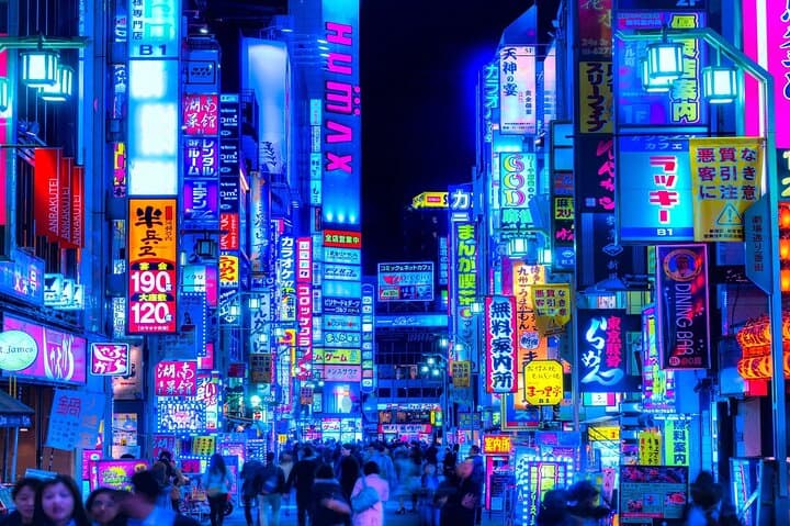 Tokyo Private Tour with English Speaking Driver