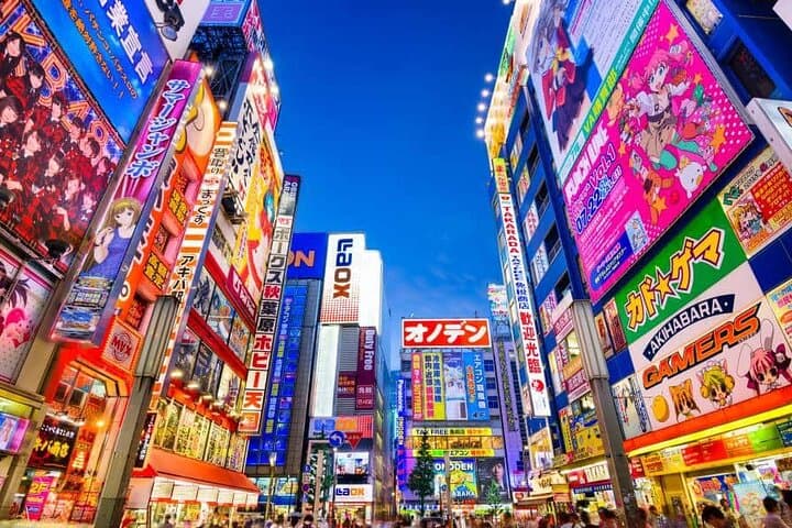 Tokyo Private Tour with English Speaking Driver