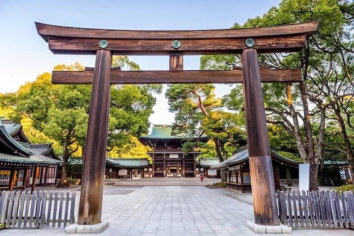Tokyo Private Tour with English Speaking Driver