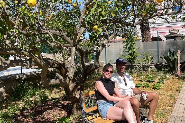 Shared Cooking Class with Fresh Garden Ingredients in Sorrento