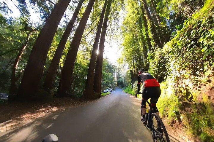 Fietstocht van San Francisco naar Muir Woods