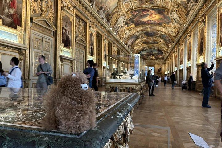 ルーヴル美術館： 博物館のすべての星-プライベートガイド付き3時間ツアー＆入場