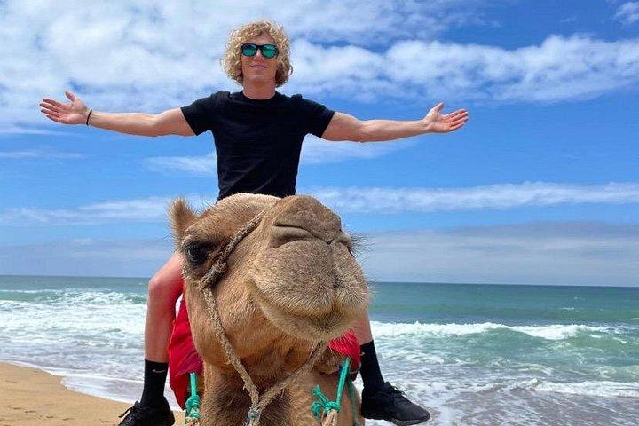 Authentic Private Tangier Tour from Estepona Camel Ride & Lunch