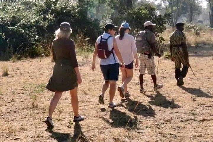 Safari a piedi nel Parco Nazionale Mosi-oa-Tunya, Livingstone Zambia