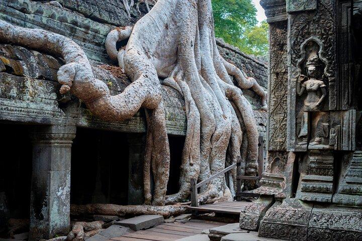 Angkor Sunrise Private Day Tours