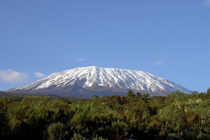 5 Days Kilimanjaro Trekking in Marangu Route