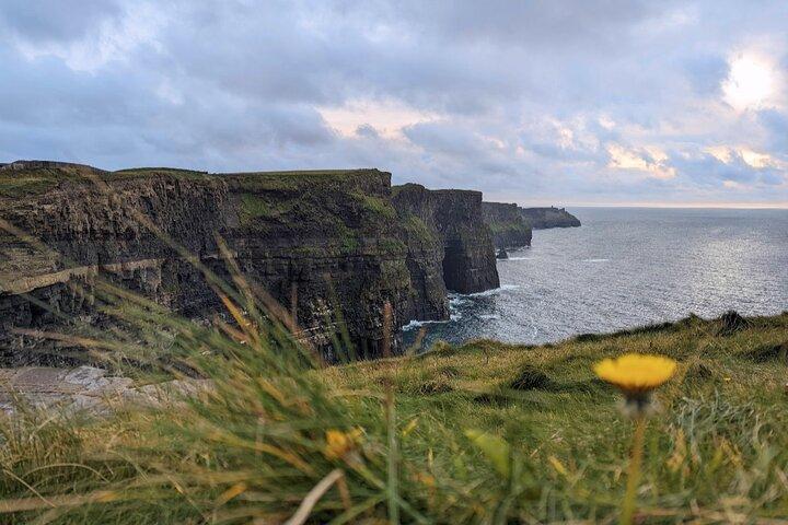 Private Luxus-Tagestour von Dublin zu den Cliffs of Moher