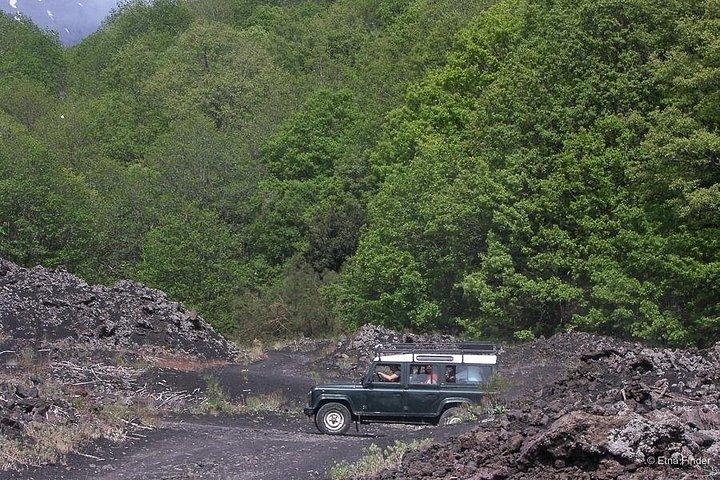 ガイド付きエトナ山アドベンチャー、ランチ付き：4WDツアーでオールドクレーターを発見